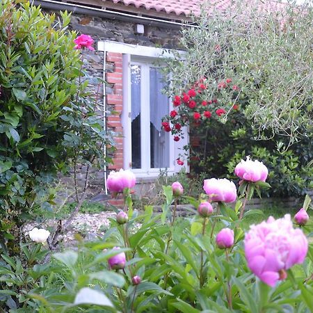 L'Arbre D'Alais Bed and Breakfast Saint-Fulgent Exteriör bild