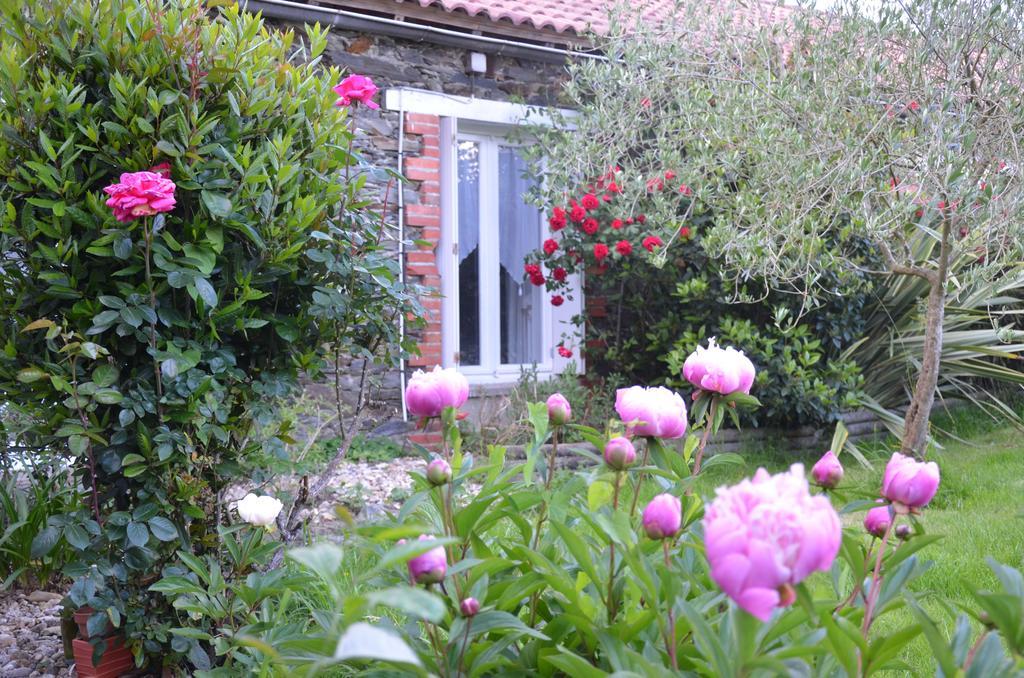 L'Arbre D'Alais Bed and Breakfast Saint-Fulgent Exteriör bild